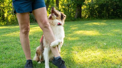 Image result for Computer-Based Training Frustration