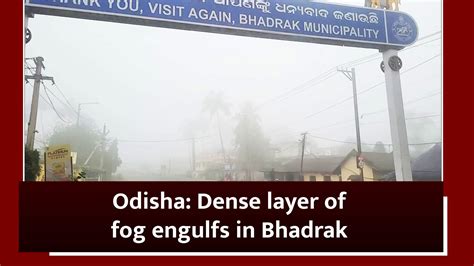 Odisha: Dense layer of fog engulfs in Bhadrak