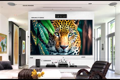 Entertainment Solutions | Interactive Displays for Engaging ...