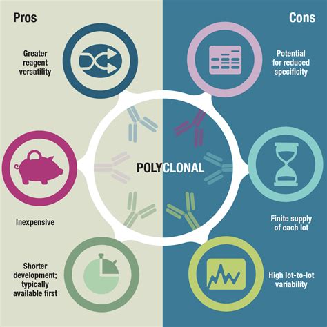 Antibody Essentials Part 4: Polyclonal vs Monoclonal Antibodies