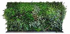 Industrial Home With Interior Planting And Transparent Walls by Image Result For Green Wall Gr 252 Ne W 228 Nde Wandgestaltung Industrial Home With Interior Planting And Transparent Walls