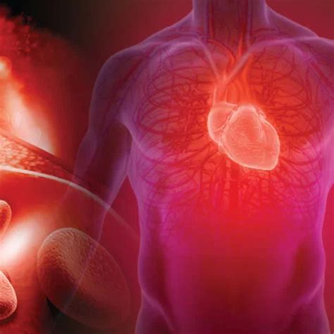 How to check for Arterial Elasticity and Stiffness? | Dr. R.R Kasliwal