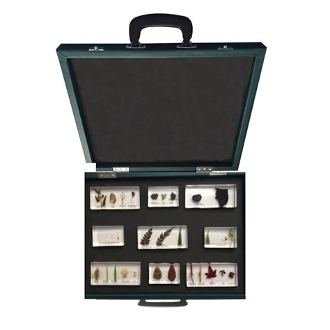 Set of 9 Plant Kingdom Specimen Block Kit All + Brief Case + Content ...
