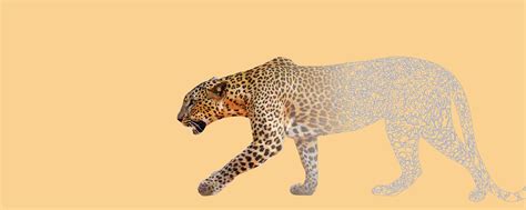 CorelDRAW Fill Color 的图像结果