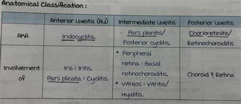 Anterior uveitis Flashcards | Quizlet