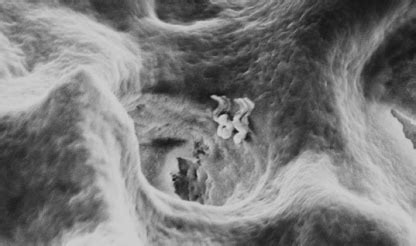 Science & Technology- Theranautilus