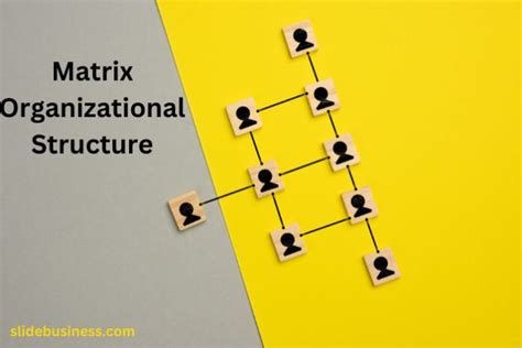 Matrix Organizational Structure 的图像结果