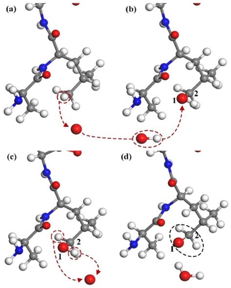 Interaction Mechanisms of Cold Atmospheric Plasmas with HIV Capsid ...