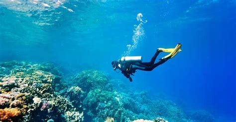 Scuba Diving In Krabi: 5 Ultimate Spots To Go Underwater In 2026