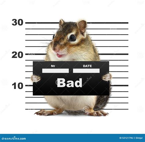Springfield's Mugshot Menagerie: Animals And Their Human Counterparts ...