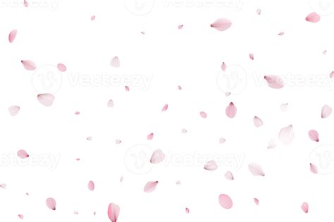 Cherry Blossom Petals at Kaitlyn Joseland blog