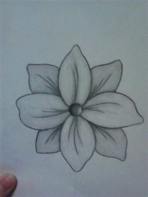 Simple Flower Drawings Step By Step