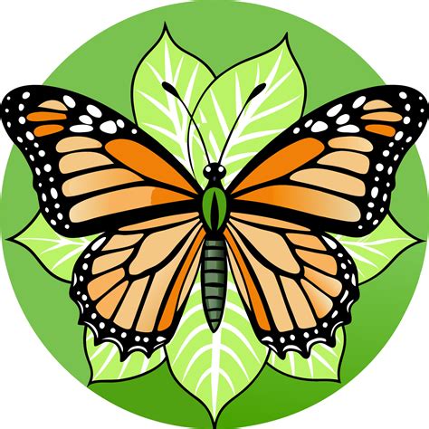 monarch butterfly clip art 47894323 Vector Art at Vecteezy