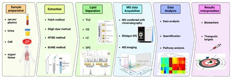 Ceramides and Ceramide Synthases in Cancer: Focus on Apoptosis and ...