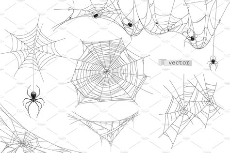 Spiders and Spider Webs Vector Set