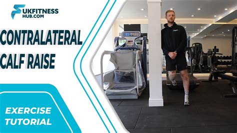 Image result for Contralateral Exercise Examples