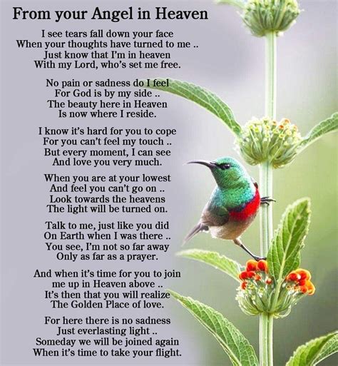 Pinterest | Mom in heaven poem, Heaven poems, Angels in heaven