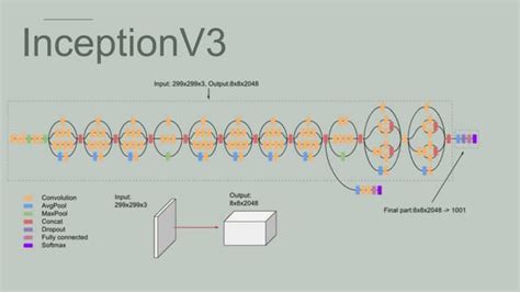 Image result for Inceptionv3 Transfer Learning