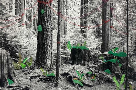 Nature and Human 的图像结果