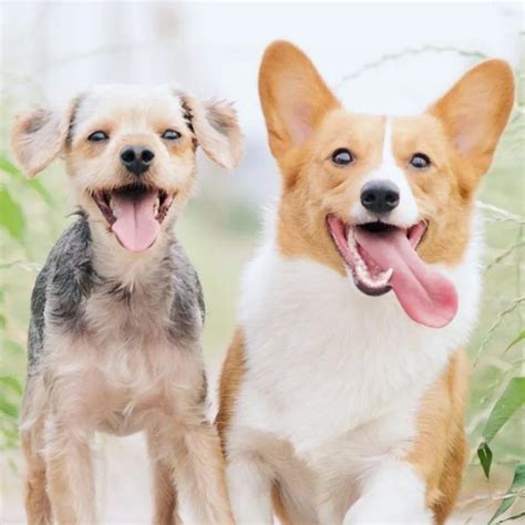 11 Best Palace Hotels In Rajasthan: Heritage Hotels To Cherish Royalty