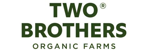 GI Tagged Single Origin Byadgi Chillies from Byadgi, Karnataka