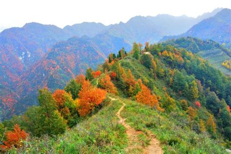 西安十大露营地免费地点推荐_旅泊网