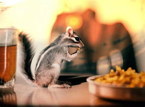 Splat Studio | Reels