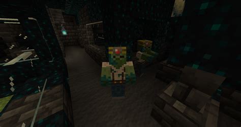 Image result for OptiFine Resource Pack 1.16.2 Tutorial