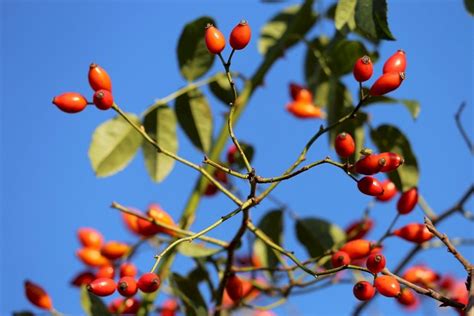 briar shop supervisor Interview Questions and Answers - HelloIntern.in ...