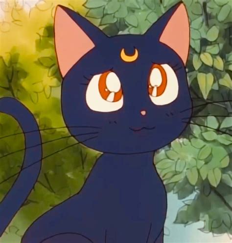 Sailor moon cat – Artofit