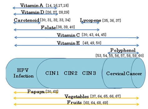The Preventive Effect of Dietary Antioxidants on Cervical Cancer ...