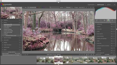 Image result for Darktable 3.8 Tutorial Light Table