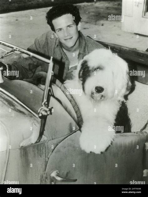 The Shaggy Dog 1994
