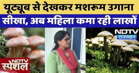 Gangapur City: Youtube से देखकर Mushroom उगाना सीखा, अब महिला कमा रही ...