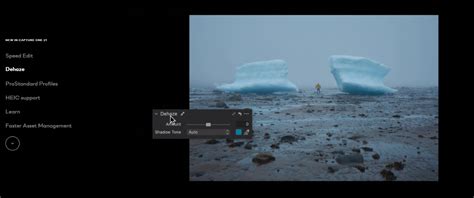 Image result for Capture One 21 Tutorials