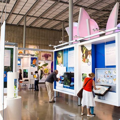 History Museum 的图像结果