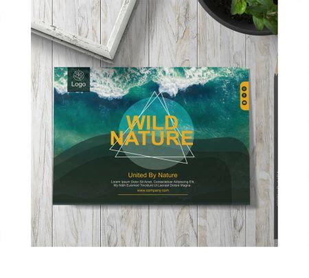 Professional Brochures - Tri Fold, Company, Product & More