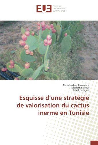 Buy Esquisse d’une stratégie de valorisation du cactus inerme en ...