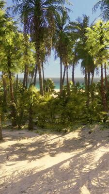 Beach Green screen 的图像结果