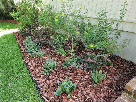 How To Put Pine Straw Around Trees at Jeniffer Rowe blog