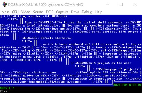 Image result for DOSBox Code