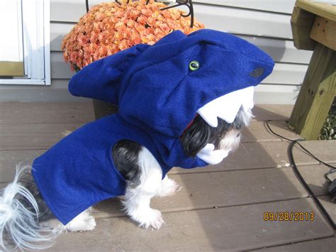 Shark Dog Halloween Costume Size Large. $38.99, via Etsy. | Dog ...