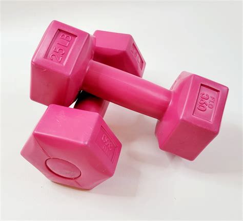 FLO 360 5 LB Pink Dumbbell Weight Set 2.5 Lbs Each Weights Workout ...