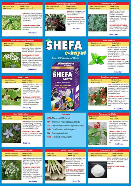 Shefa-E-Hayat SH100ML Price in India - Buy Shefa-E-Hayat SH100ML online ...