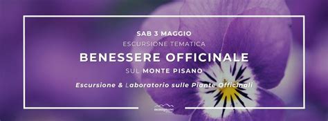 Sentieri di benessere: Escursione e Laboratorio sulle piante officinali ...