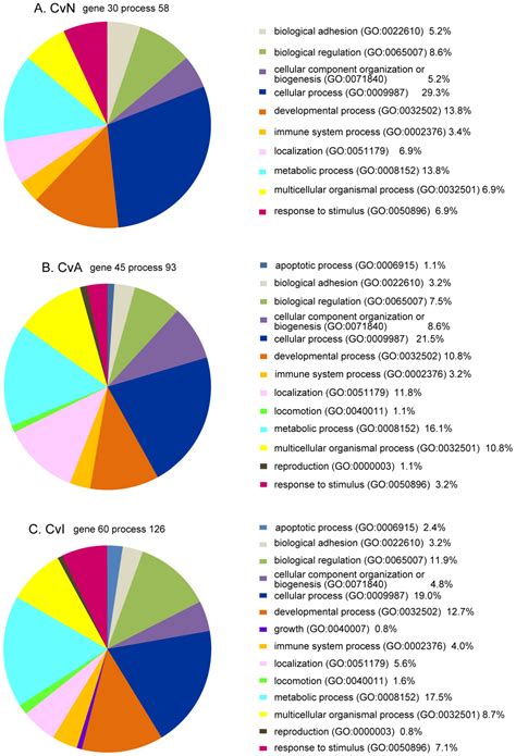 Neonicotinoid Insecticides Alter the Gene Expression Profile of Neuron ...