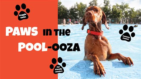 Tri-City Animal Shelter & Adoption Center | Cedar Hill, TX - Official ...