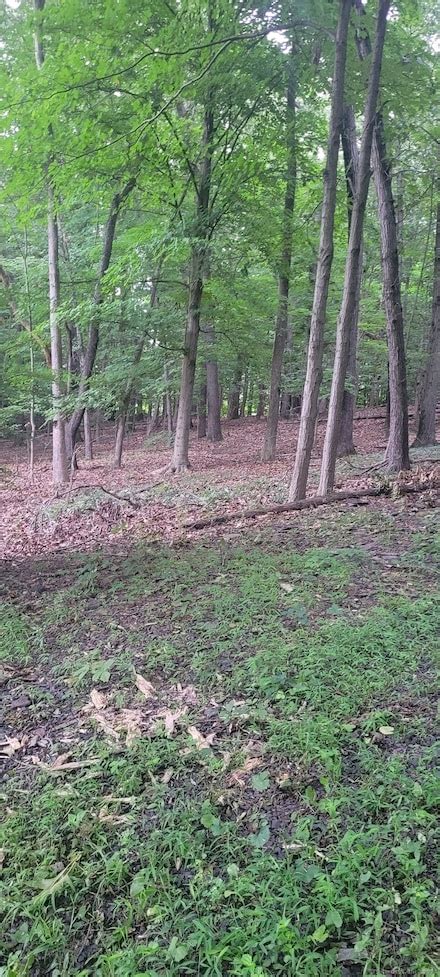 Berlin CT Real Estate & Homes for Sale - Homes.com