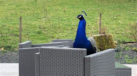 QUEENSLAND HOLIDAY PARK (Girvan) - Campground Reviews, Photos, Rate ...