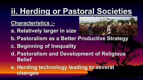 Example of Society 的图像结果